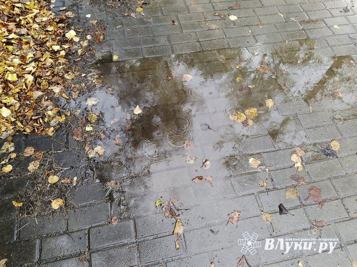 Великие Луки : Прогноз погоды на 22 октября в Великих Луках