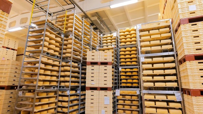 Фото: ГК «Кабош»