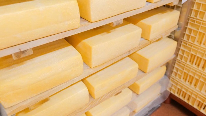 Фото: ГК «Кабош»