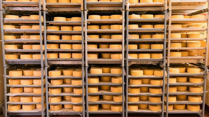 Фото: ГК «Кабош»