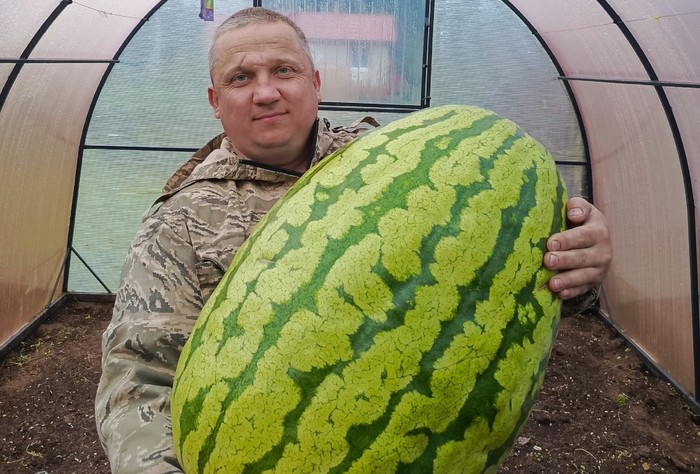 Фото: ПАИ/страница в «ВКонтакте» Олега Шипилина