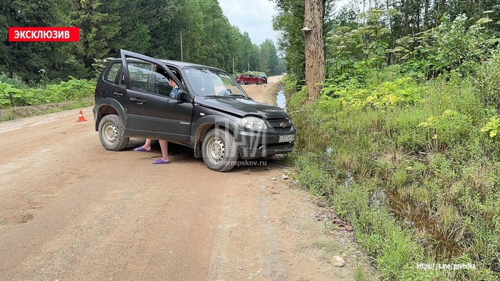 Фото: телеграм-канал Псковская сводка
