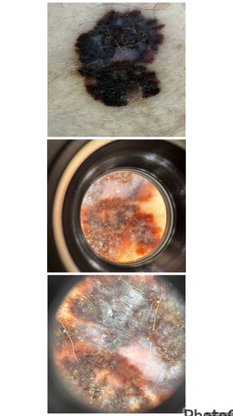 Фото: КВД Псковской области