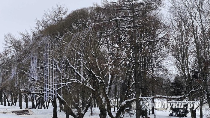 Великие Луки Новый Год