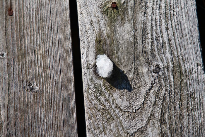 Фото: Полистовский заповедник