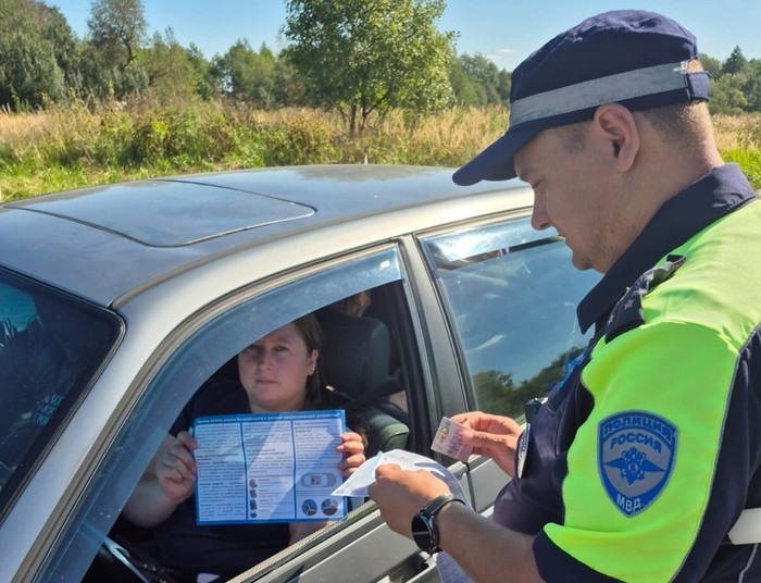 Фото: отделение Госавтоинспекции МО МВД России «Великолукский»