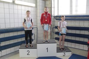 В Великих Луках прошли соревнования по плаванию «Быстрый Кашалот»