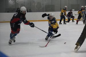 «Экспресс» с разгромным счетом обыграл «Родину» (ФОТО)