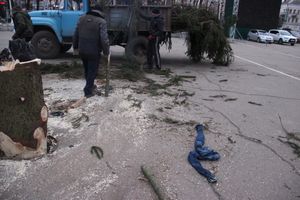 Необычное украшение сняли с главной ёлки Великих Лук (ФОТО)