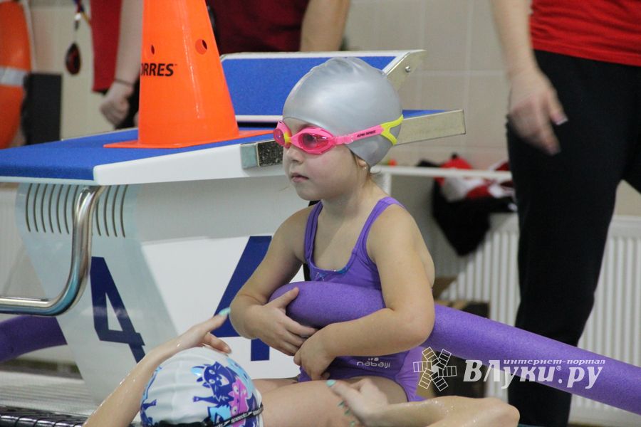 Соревнования по плаванию на призы Деда Мороза прошли в Великих Луках (ФОТО)