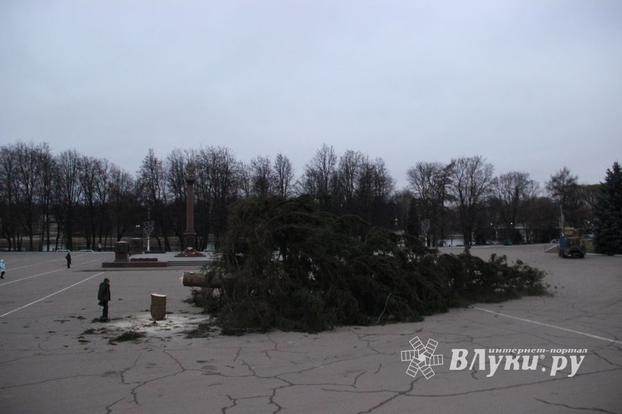 Необычное украшение сняли с главной ёлки Великих Лук (ФОТО)