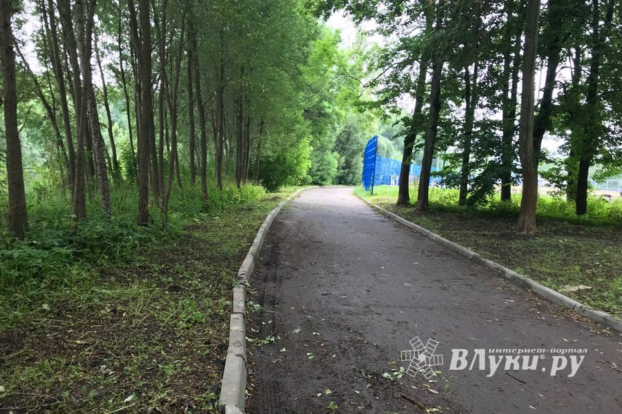 Дятлинку покосили (ФОТО)