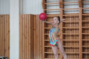 В Великих Луках прошли соревнования по по художественной гимнастике (ФОТО)