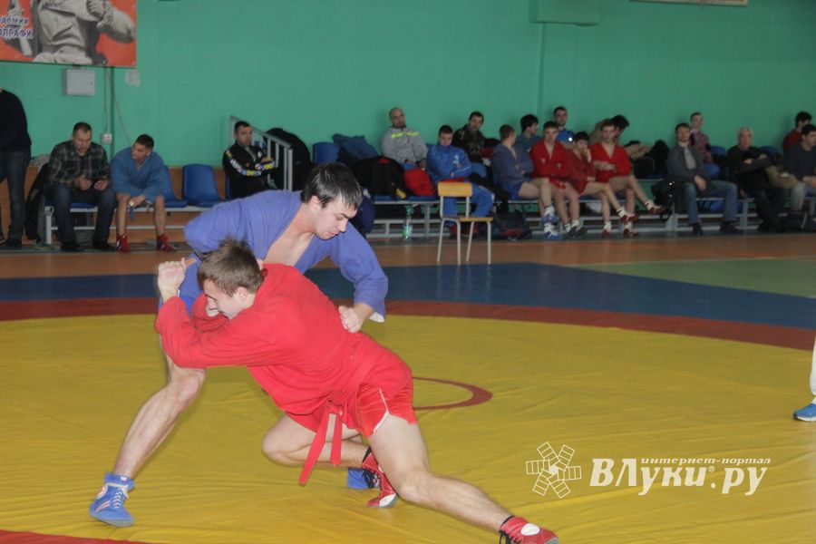 В Великих Луках прошел турнир по самбо, посвященный подвигу Александра Матросова (ФОТО)