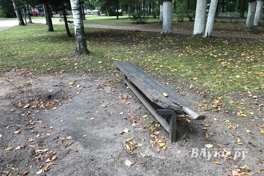 Парк Пушкина: «... А вкруг меня глухое запустенье...» (ФОТО)