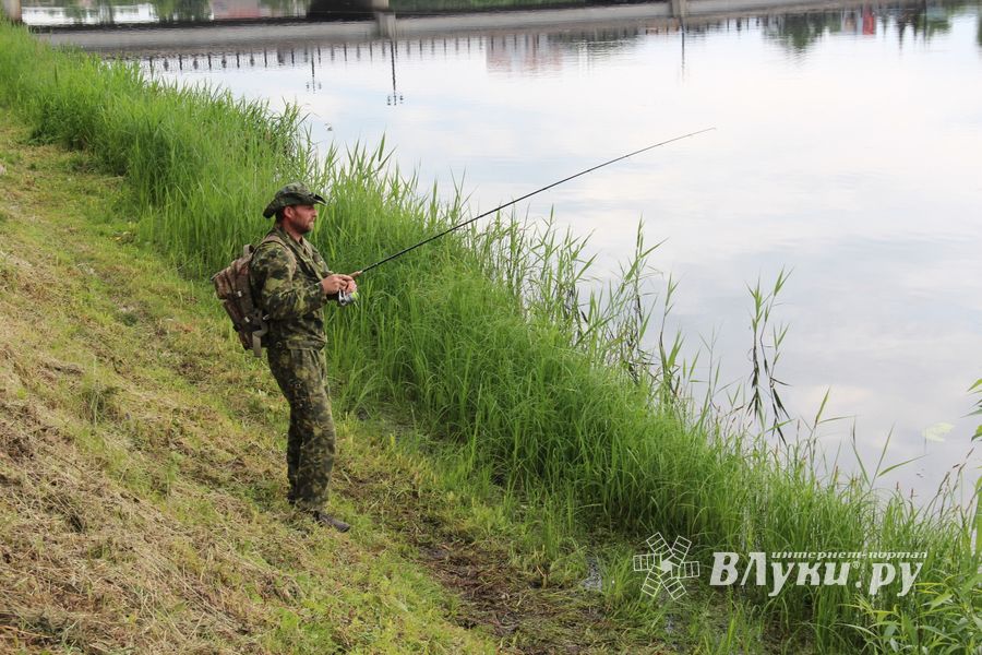 Чемпионат Великих Лук по ловле спиннингом: клевала, но мало (ФОТО)
