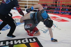 В Великих Луках завершилось Первенство России среди юношей по смешанному боевому единоборству ММА (ФОТО)