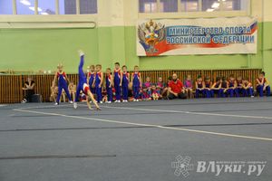 В Великих Луках состоялось Первенство по командной гимнастике (фото)