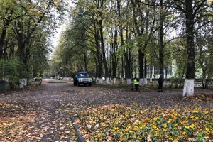 Роща «отряхает» — коммунальщики убирают (ФОТО)