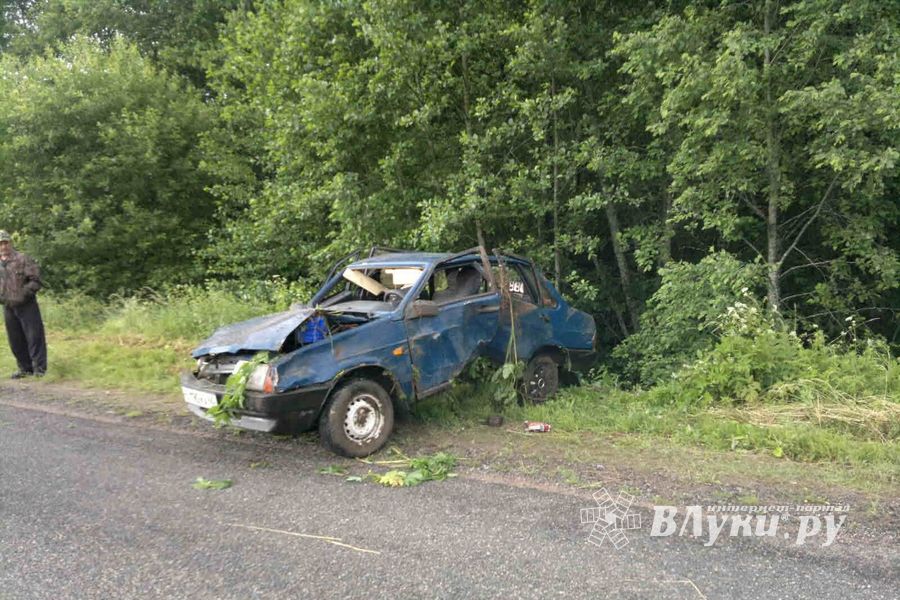 В Куньинском районе водитель улетел в кювет и погиб