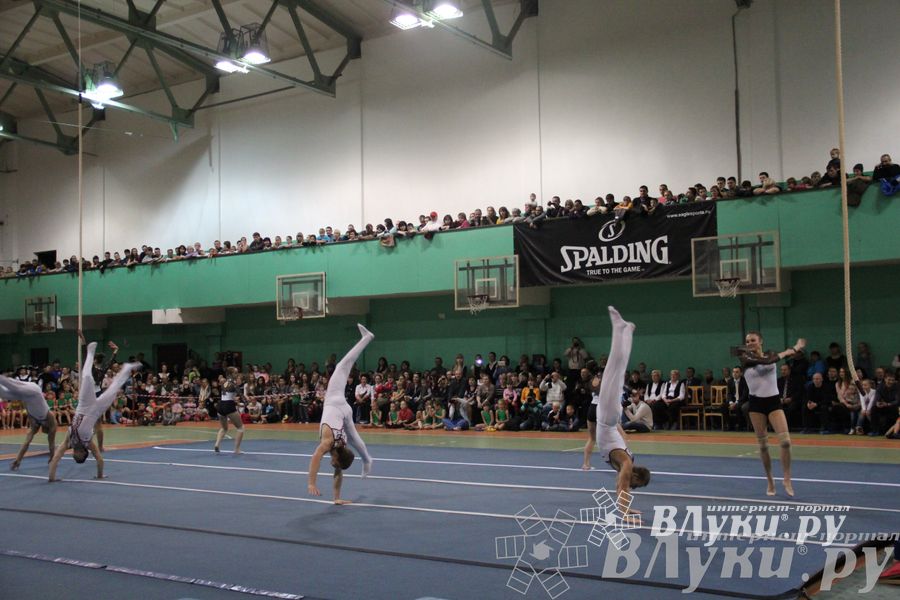 «Парад гимнастики» прошел в Великих Луках (фото)