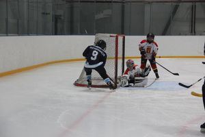 Товарищескике хоккейные игры между детскими командами прошли в Великих Луках (ФОТО)