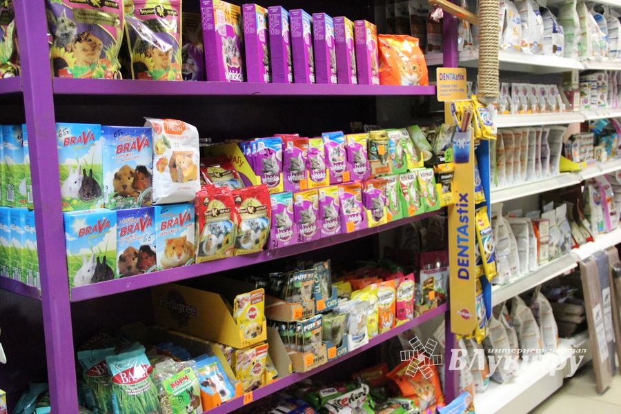 «Zooбастики»: подарите праздник своим любимцам! (ФОТО+ВИДЕО)