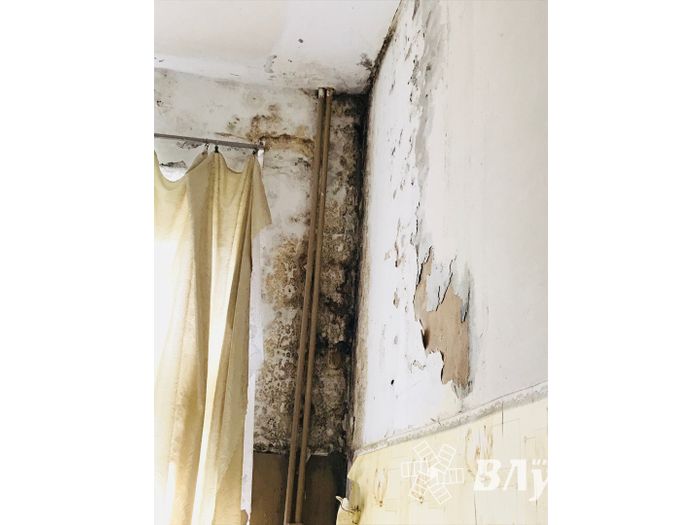 Районной больнице требуется лечение (ФОТО)