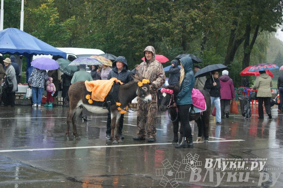 ​Универсальная торговая ярмарка «Осень – 2014» состоялась  в Великих Луках