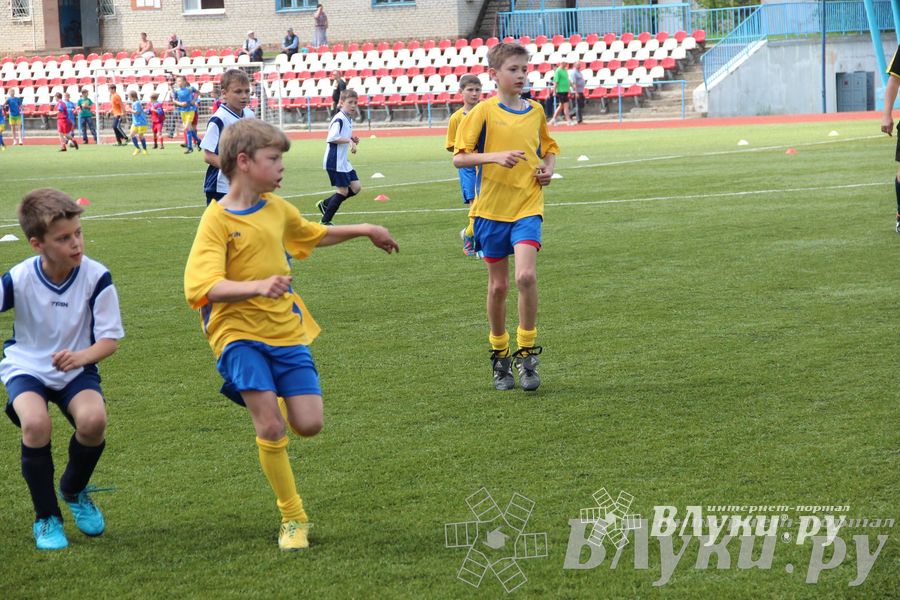 «Локобол-2013» в Великих Луках