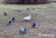 Прогноз погоды на 5 апреля в Великих Луках