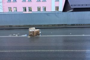 Неопознанный валяющийся объект «украсил» дорогу в Великих Луках.