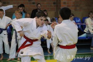 Великолучане стали победителями турнира по каратэ «Неприкосновенный запас, дети — Отчизны 2015» (фото)