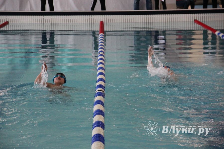 В «Айсберге» прошло Первенство города по плаванию (ФОТО)