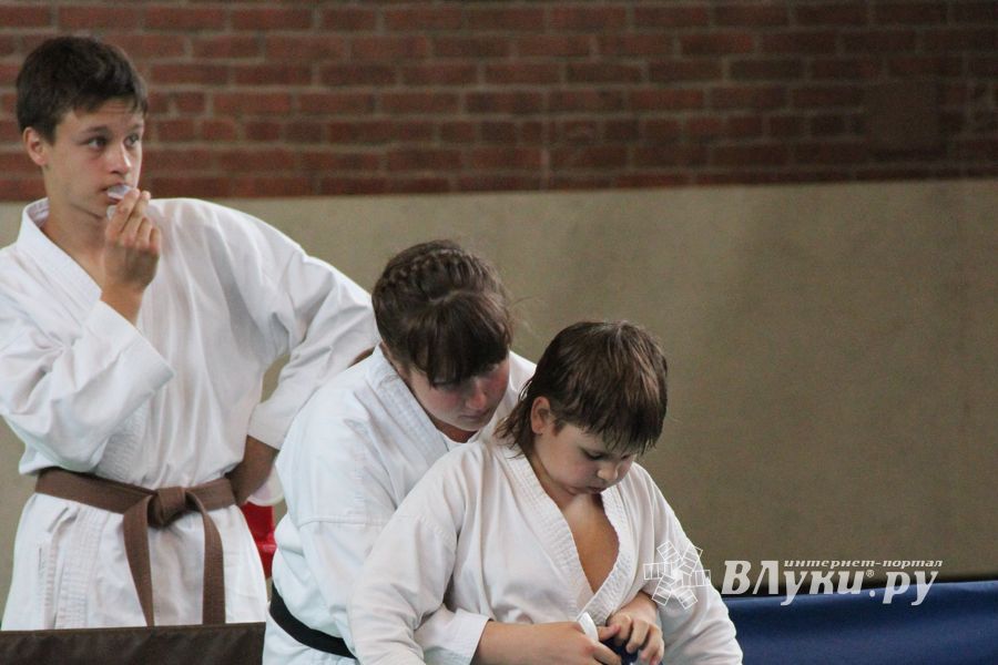Турнир по каратэ «Неприкосновенный запас — дети Отчизны»