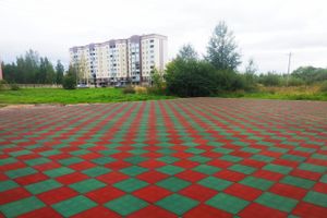 Депутат облсобрания возмутился состоянием детских площадок в Великих Луках (ФОТО)