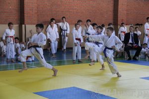 Турнир по каратэ