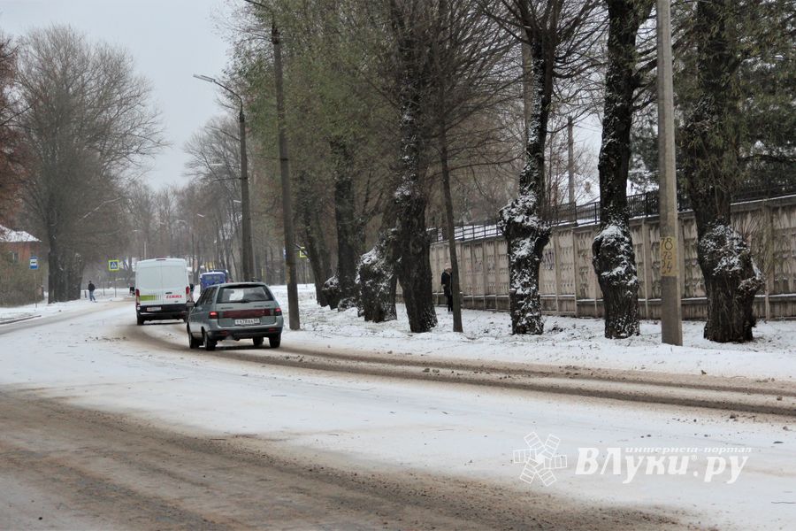 В Великих Луках — 20 км/ч (ФОТО)