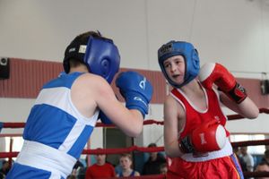 В Великих Луках прошло Первенство города по боксу (ФОТО)