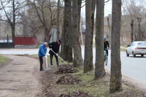 Городские СМИ провели субботник (ФОТО)