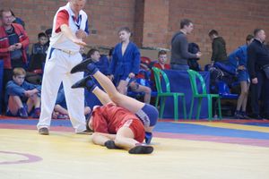 Великолучане завоевали призовые места на турнире по самбо «Память» (ФОТО)