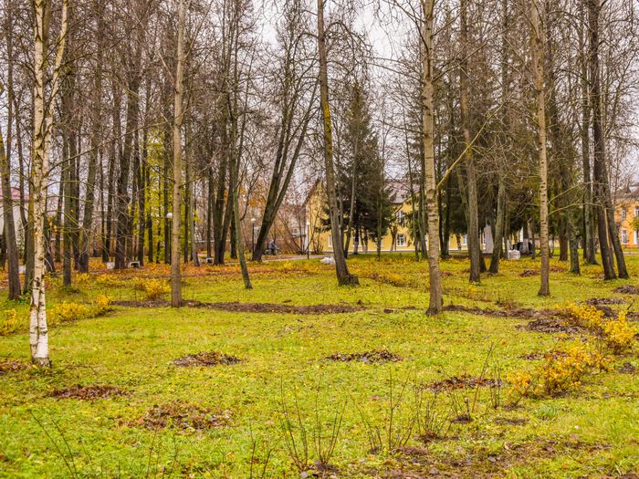 Фото: компания Greenworks