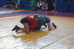 Великолучане завоевали призовые места на турнире по самбо «Память» (ФОТО)