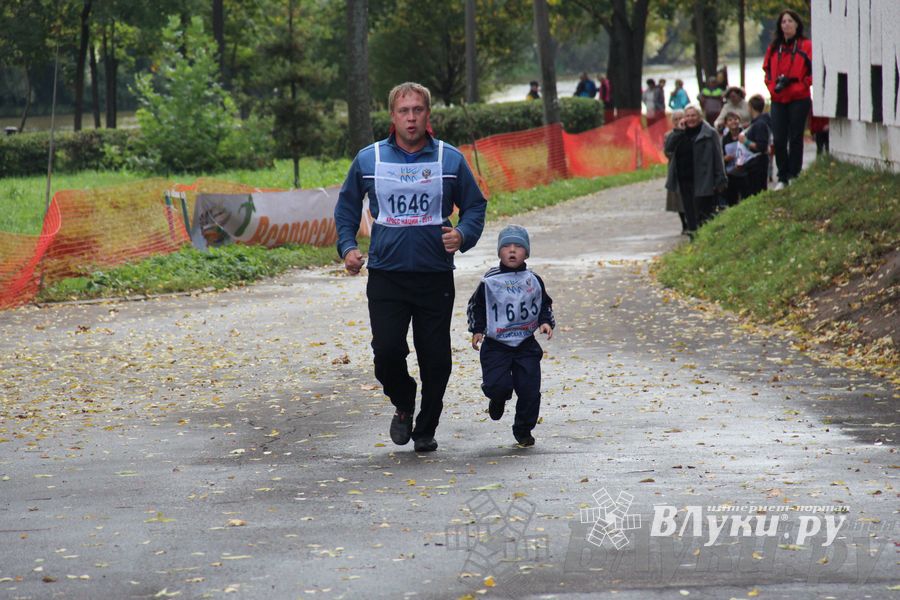 Кросс нации