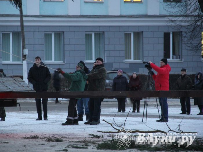 В Великих Луках установили новогоднюю елку (фото)