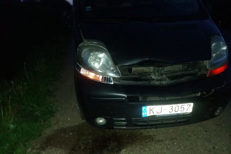 Под Великими Луками водитель сбил косулю (ФОТО)