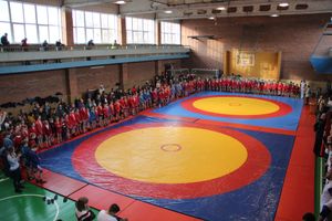 Великолучане завоевали награды турнира по самбо «Память» (ФОТО)