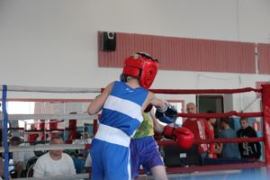 В Великих Луках прошло Первенство города по боксу (ФОТО)