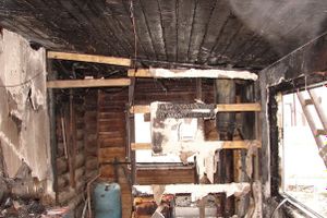 В Псковской области горел жилой дом (фото)