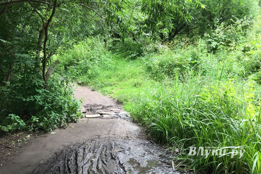 Необитаемый остров Дятлинка (ФОТО)